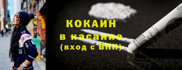 шишки Покачи