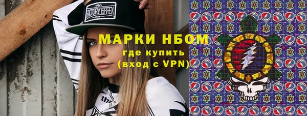 шишки Покачи