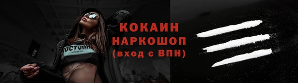 шишки Покачи