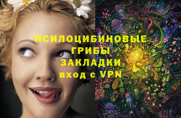 дурь Покровск