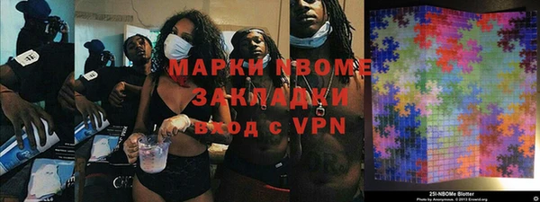 шишки Покачи
