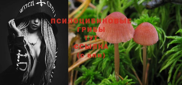 гидра Абинск